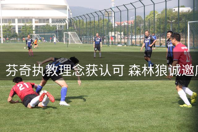 芬奇执教理念获认可 森林狼诚邀库明加加盟